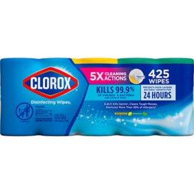 Clorox Disinfecting Bleach-Free Cleaning Wipes, Variety Pack 85 wipes/pk., 5 pk.