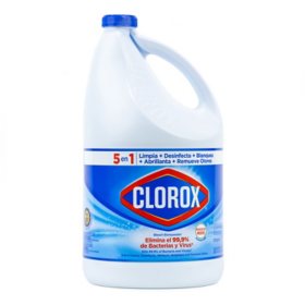 Clorox Bleach Original 6 pk., 124 fl. oz