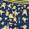 Pokemon - Online Only, variant on Character Boys 5-Pack Athletic Boxer Brief