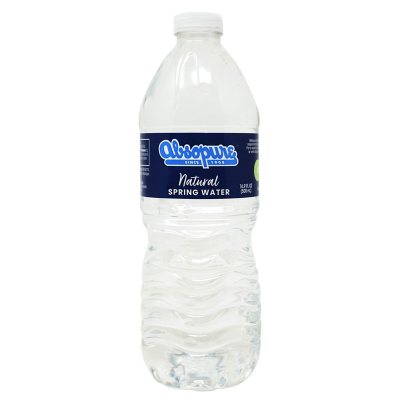 Absopure Bottled Water 16.9 oz 24 pk - Ace Hardware