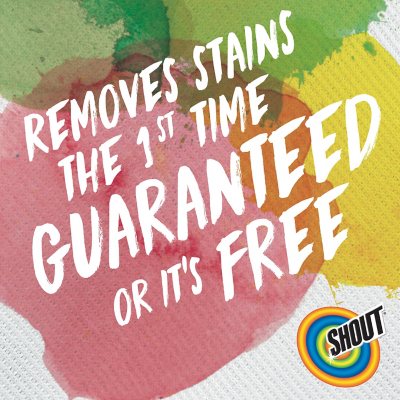 Shout Free Laundry Stain Remover (2 Pack)