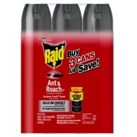 Raid Ant & Roach Killer 26, Outdoor Fresh Scent, 3 ct, 17.5 oz