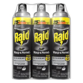 Raid Wasp & Hornet Killer 3ct, 17.5 oz.
