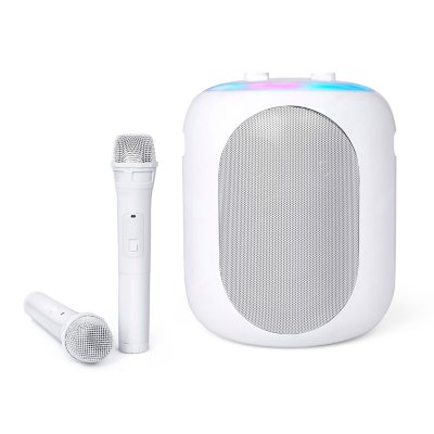 Wireless Microphone Portable Bluetooth Speaker with Mini Karaoke Machine -  China Speaker and Bluetooth Speaker price