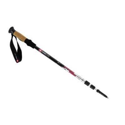 Swissgear sale walking stick