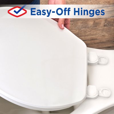 https://scene7.samsclub.com/is/image/samsclub/0004796859203_E?$DT_PDP_BB$
