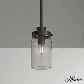 Hunter Devon Park with Clear Glass Pendant Ceiling Light Fixture 