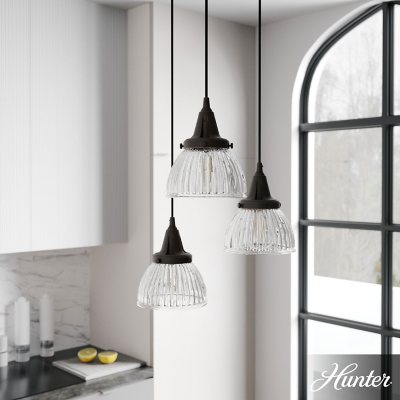 Hunter Cypress Grove with Clear Holophane Glass 3 Light Pendant Light Fixture:- Onyx, Round