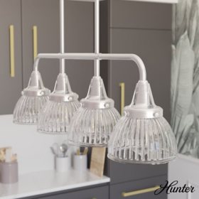Hunter Cypress Grove with Clear Holophane Glass 4 Light Chandelier Ceiling Light Fixture 