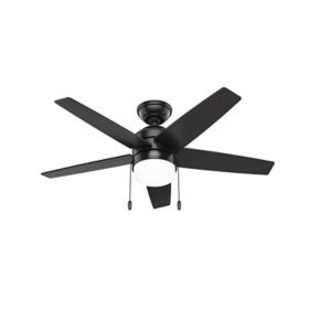 Hunter Bardot Ceiling Fan with LED Light Kit and Pull Chain, Assorted Sizes