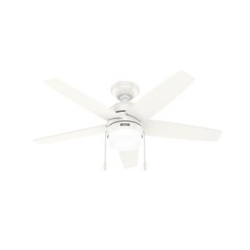 Hunter Bardot Ceiling Fan with LED Light Kit and Pull Chain, Assorted Sizes