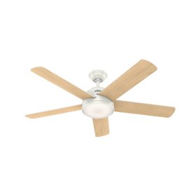 Hunter 54" Romulus Indoor WiFi Ceiling Fan with LED Light and Remote