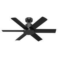 Hunter 44" Kennicott Damp-Rated Ceiling Fan with Wall Control