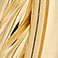 Gold, variant on Double Oval Braided Hoop Earrings in 14K Gold