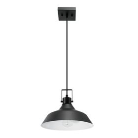 Globe Electric Sutton 1-Light Outdoor/Indoor Pendant, Matte Black with Bulb