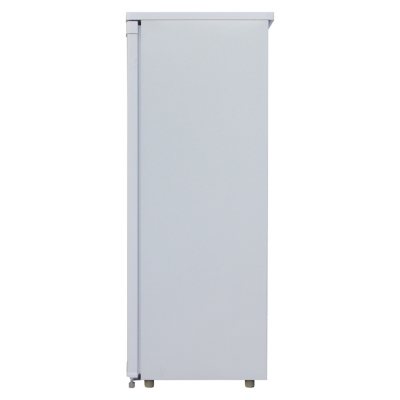  RCA 10 Cubic Foot Chest Freezer,White : Everything Else