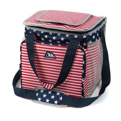 Arctic Zone Lunch Box with Accessories and Microban Protected Lining,  Gingham