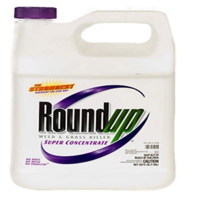 Roundup Super 1-Gallon Concentrated Weed and Grass Killer in the Weed  Killers department at