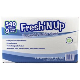 Fresh'N Up Flushable Wet Wipes, Scented, 540 ct.