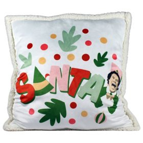 Holiday Character Decorative Pillow - 22" x 22" (Assorted Styles)	