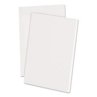 Ampad - Scratch Pad Notebook - Unruled - 4 x 6 - White - 100-Sheet - Dozen
