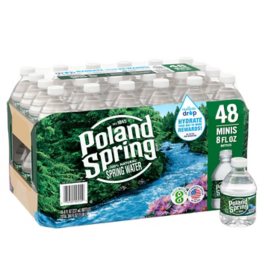 Poland Spring 100% Natural Premium Spring Water - Small, Mini 8 Fl Oz  Bottles | Pack of 24