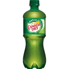 Canada Dry Ginger Ale Soda (20 fl. oz. bottles, 24 pk.)