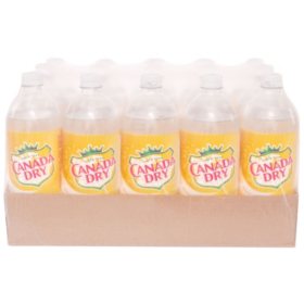 Canada Dry Tonic Water (1L)