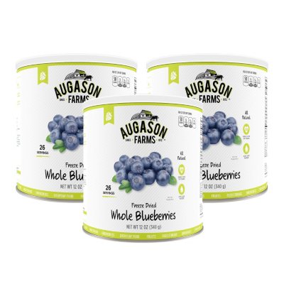 Jumbo Blueberries (16 oz.) - Sam's Club