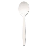 Dixie Plastic Cutlery, Mediumweight Soup Spoons, White (1000 ct.)