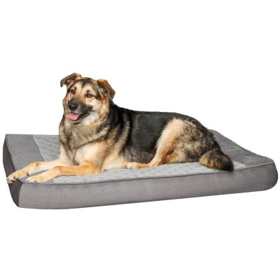 dog beds at sams club
