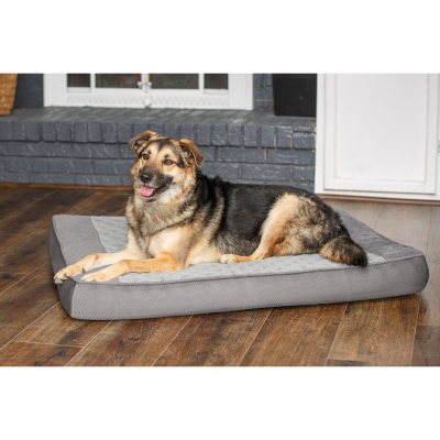 sam's club dog beds in store