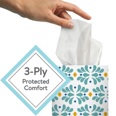 Member's Mark 3-Ply Soft Strong Facial Tissue,12 pk, 960 tissues-80 ct.per box 