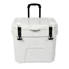 sams club cooler bag