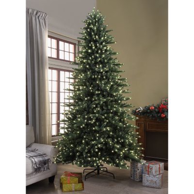 Member's Mark 9' 1,000 LED Pre-Lit Bristle Fir Christmas Tree - Sam's Club