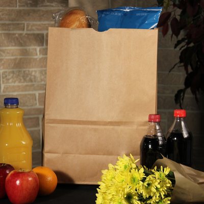 Duro 1/6 BBL Kraft Bag - 500 ct.