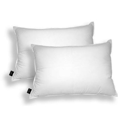 Nautica Standard Pillow Sham, 20 x 26, NEW - DURHAM Set of 2