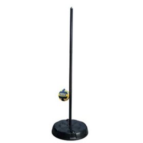 Lifetime 30" Heavy-Duty Portable Tetherball System