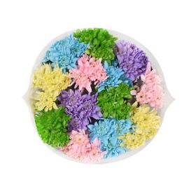 Member's Mark Pastel Pom Bunch 12 stems