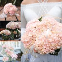 Hydrangea, Bridal Pink (15 stems)