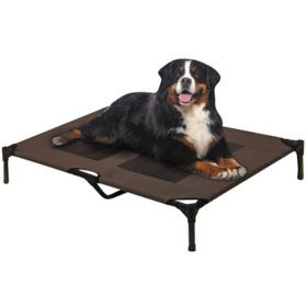 Solartec Indoor/Outdoor Rectangle Pet Cot (Choose Your Size and Color)