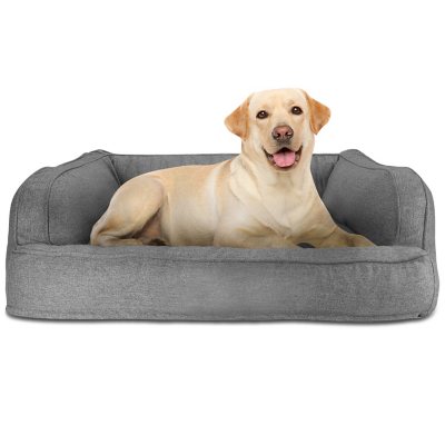 plastic dog bed kmart