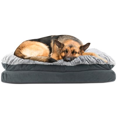 canine creations pillow topper