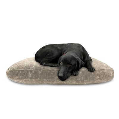 sam's club dog beds in store