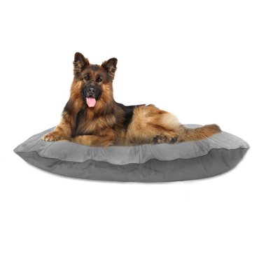 Dog bed 2024 sams club