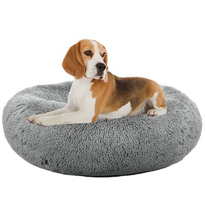 dog beds at sams club