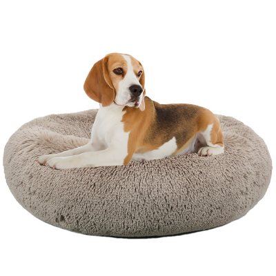 dog bed on sale near me