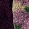 Floral, variant on Brookstone Women's 2-Pack Cozy Mary Jane Slipper Sock