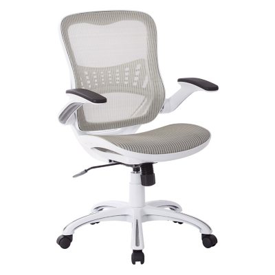 Sams 2025 office chair