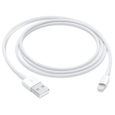 Apple Lightning to USB Cable (1 m) - Sam's Club